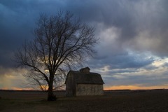 _IMG8454 _IMG8454