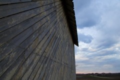 _IMG8463 _IMG8463