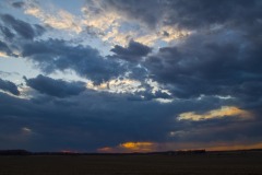 _IMG8465 _IMG8465