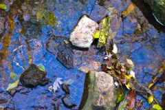 IMG_4712 IMG_4712