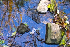 IMG_4713 IMG_4713