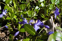 _IMG8494 _IMG8494