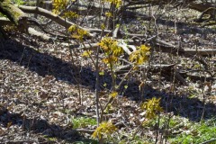 _IMG8534 _IMG8534