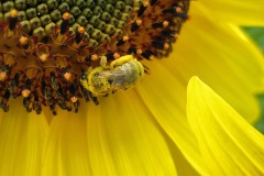 IMG_4472 IMG_4472
