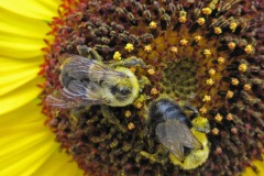 IMG_4465 IMG_4465