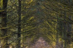 _IMG2278 _IMG2278