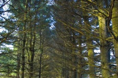 _IMG2280 _IMG2280