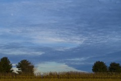 _IMG2284 _IMG2284