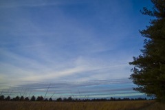 _IMG2290 _IMG2290