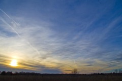 _IMG2297 _IMG2297