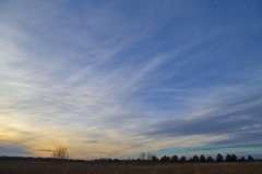 _IMG2298 _IMG2298