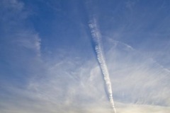 _IMG2302 _IMG2302