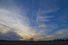 _IMG2304 _IMG2304