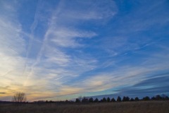 _IMG2307 _IMG2307