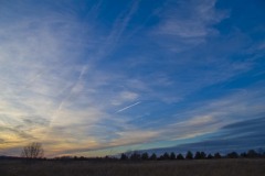 _IMG2309 _IMG2309