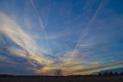 _IMG2313 _IMG2313