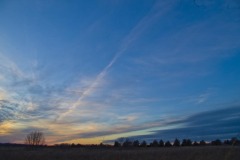 _IMG2317 _IMG2317