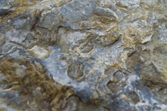 _IMG8000 _IMG8000