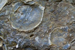 _IMG8002 _IMG8002