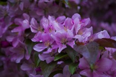 _IMG3899 _IMG3899