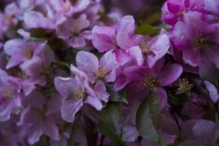 _IMG3902 _IMG3902