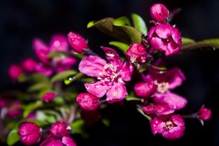 _IMG3914 _IMG3914