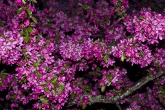 _IMG3926 _IMG3926