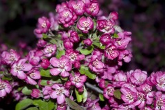 _IMG3927 _IMG3927