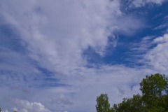 _IMG4088 _IMG4088