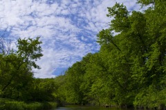 _IMG4092 _IMG4092