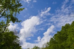 _IMG4097 _IMG4097
