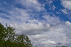 _IMG4104 _IMG4104