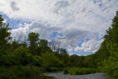 _IMG4107 _IMG4107