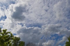 _IMG4113 _IMG4113