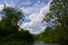 _IMG4115 _IMG4115