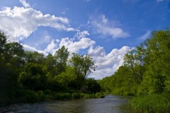 _IMG4117 _IMG4117