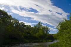 _IMG4119 _IMG4119