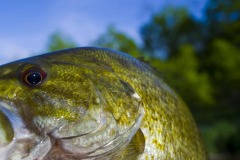 _IMG4120 _IMG4120