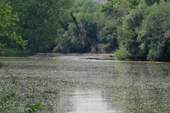 IMG_4214 IMG_4214