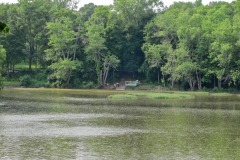 IMG_4215 IMG_4215