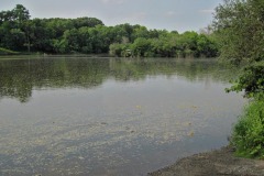 IMG_4218 IMG_4218
