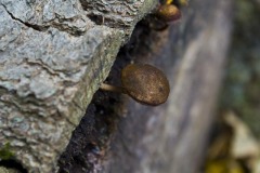 _IMG6107 _IMG6107