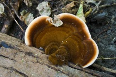 _IMG6125 _IMG6125