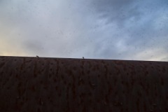 _IMG3097 _IMG3097