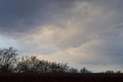 _IMG3109 _IMG3109