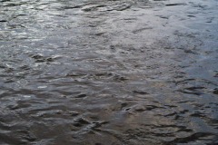 _IMG3115 _IMG3115