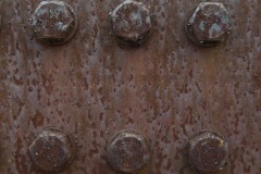 _IMG3117 _IMG3117