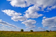 _IMG0783 _IMG0783