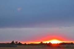IMG_0762 IMG_0762