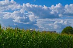 corn_clouds